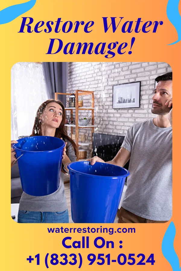 water restoration Premier Water Damage Company Sunbury